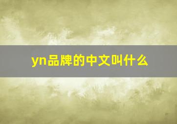 yn品牌的中文叫什么