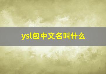 ysl包中文名叫什么