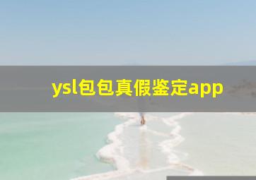 ysl包包真假鉴定app