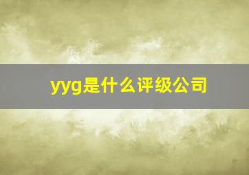 yyg是什么评级公司