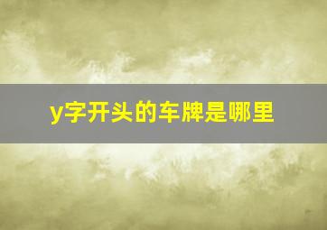 y字开头的车牌是哪里