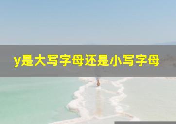 y是大写字母还是小写字母