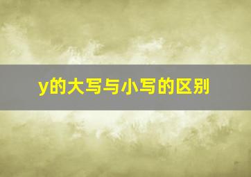 y的大写与小写的区别