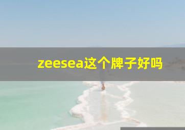 zeesea这个牌子好吗