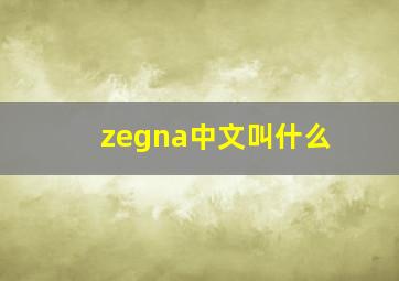 zegna中文叫什么