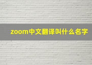 zoom中文翻译叫什么名字