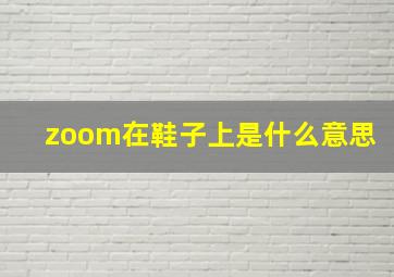 zoom在鞋子上是什么意思