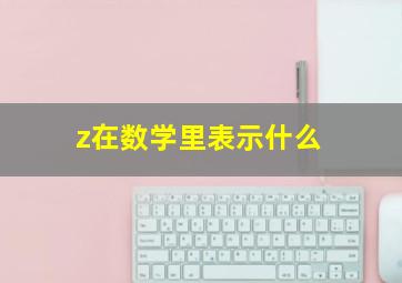 z在数学里表示什么