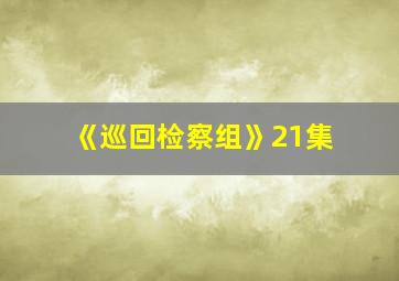 《巡回检察组》21集