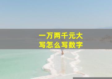 一万两千元大写怎么写数字