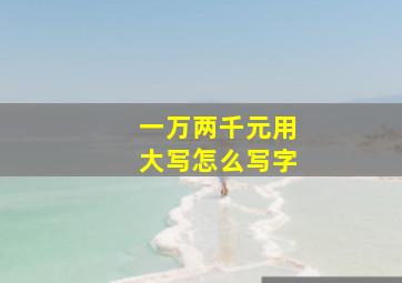 一万两千元用大写怎么写字