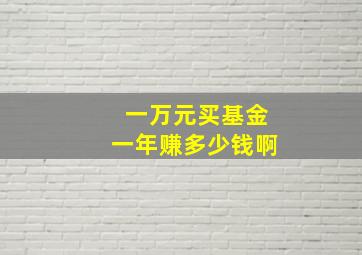 一万元买基金一年赚多少钱啊