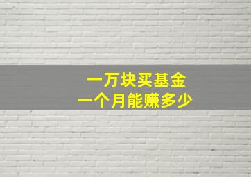 一万块买基金一个月能赚多少