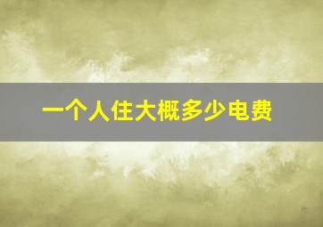 一个人住大概多少电费