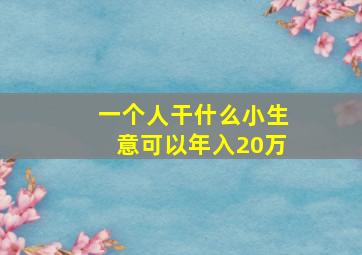 一个人干什么小生意可以年入20万