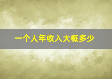 一个人年收入大概多少