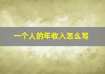 一个人的年收入怎么写