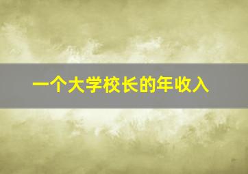 一个大学校长的年收入