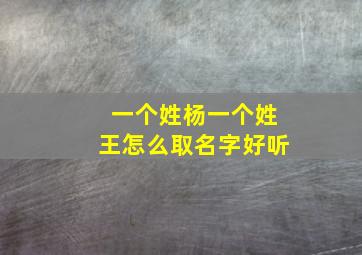 一个姓杨一个姓王怎么取名字好听