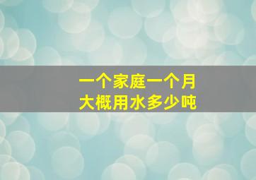 一个家庭一个月大概用水多少吨