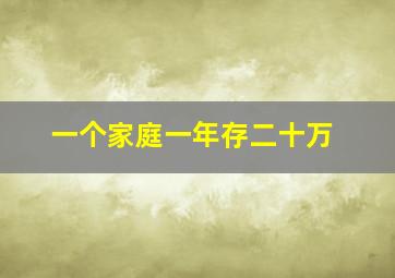 一个家庭一年存二十万