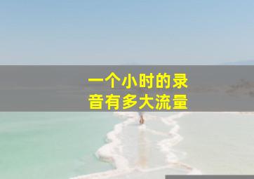 一个小时的录音有多大流量