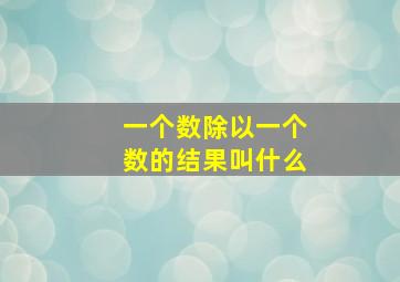 一个数除以一个数的结果叫什么