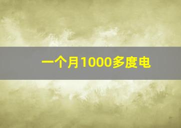 一个月1000多度电