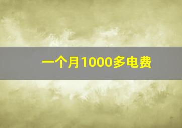 一个月1000多电费