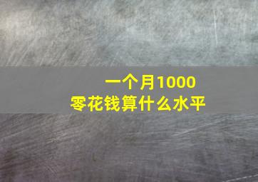 一个月1000零花钱算什么水平