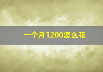 一个月1200怎么花