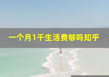 一个月1千生活费够吗知乎