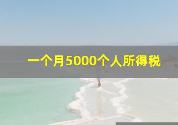 一个月5000个人所得税