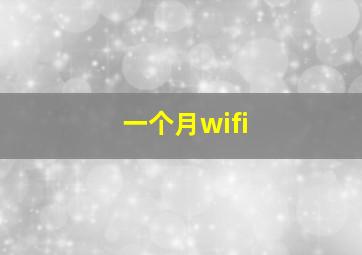 一个月wifi