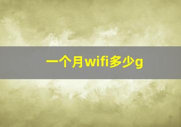 一个月wifi多少g