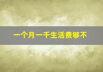 一个月一千生活费够不