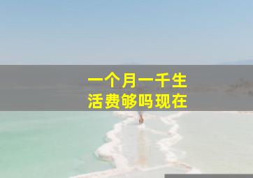 一个月一千生活费够吗现在