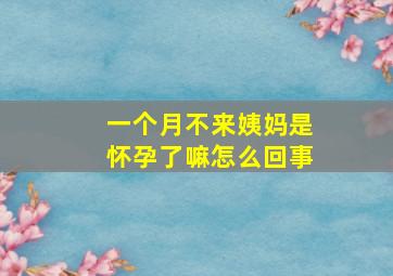 一个月不来姨妈是怀孕了嘛怎么回事