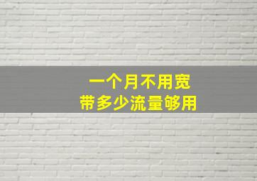 一个月不用宽带多少流量够用