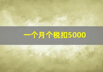 一个月个税扣5000