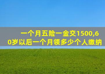 一个月五险一金交1500,60岁以后一个月领多少个人缴纳