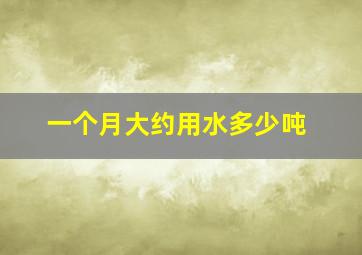 一个月大约用水多少吨