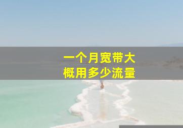 一个月宽带大概用多少流量