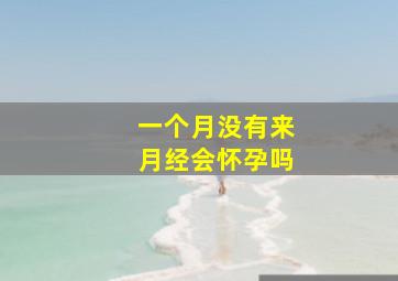 一个月没有来月经会怀孕吗