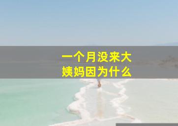 一个月没来大姨妈因为什么