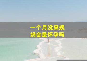 一个月没来姨妈会是怀孕吗