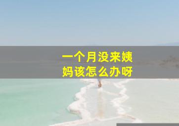 一个月没来姨妈该怎么办呀