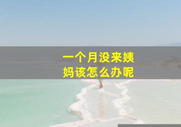 一个月没来姨妈该怎么办呢