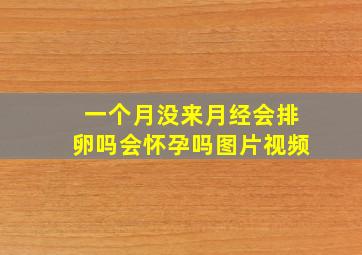 一个月没来月经会排卵吗会怀孕吗图片视频