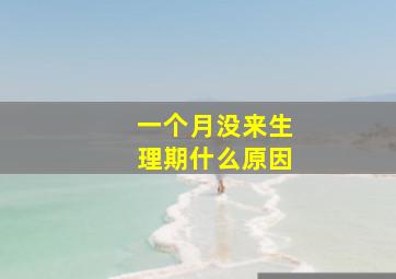 一个月没来生理期什么原因